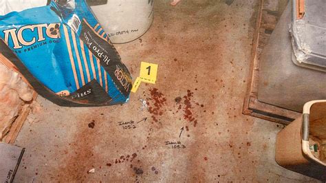 alex murdaugh crime scene pictures|Murdaugh Trial: Photos Show Scene Of Killings